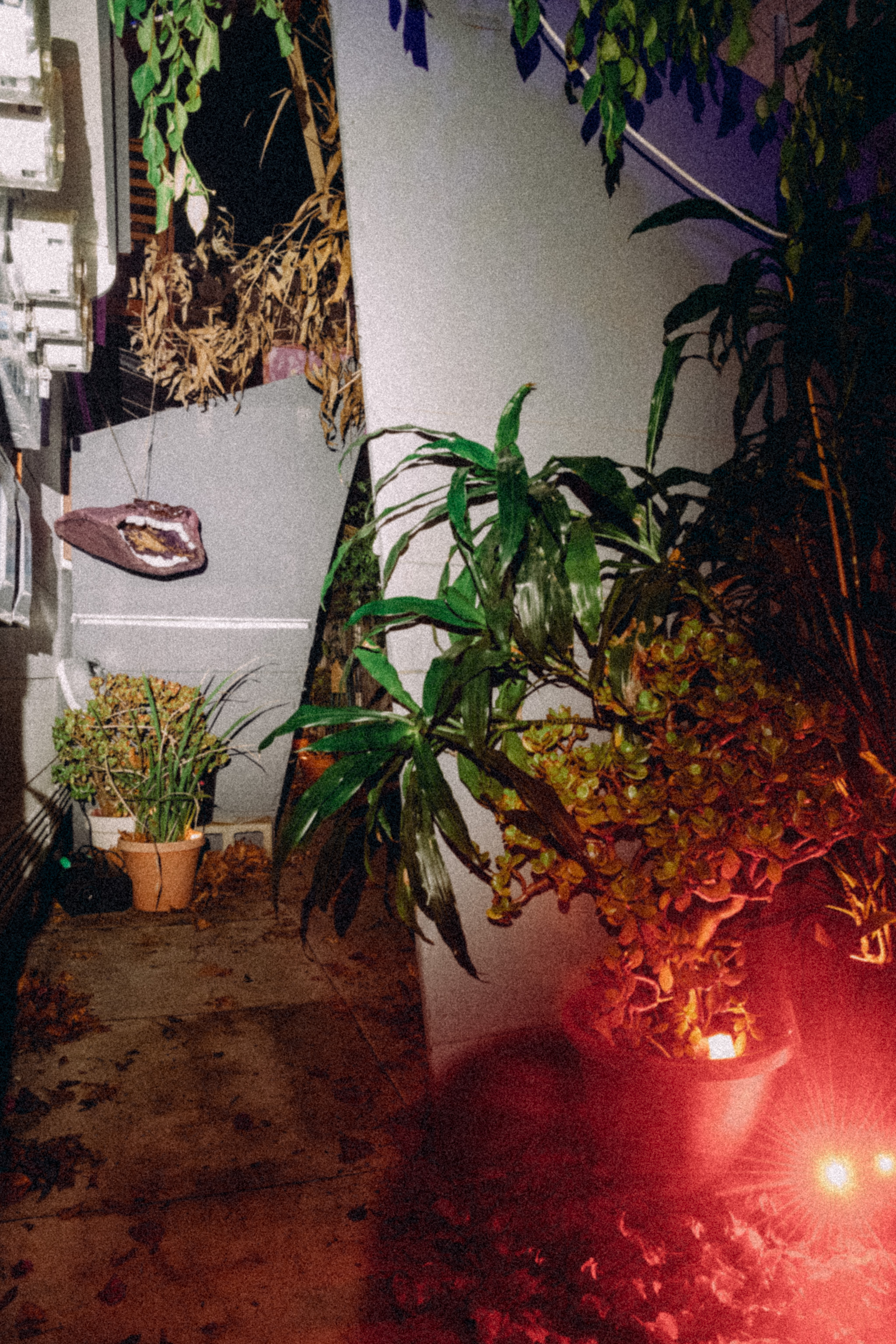 2024 Corridor of Horror