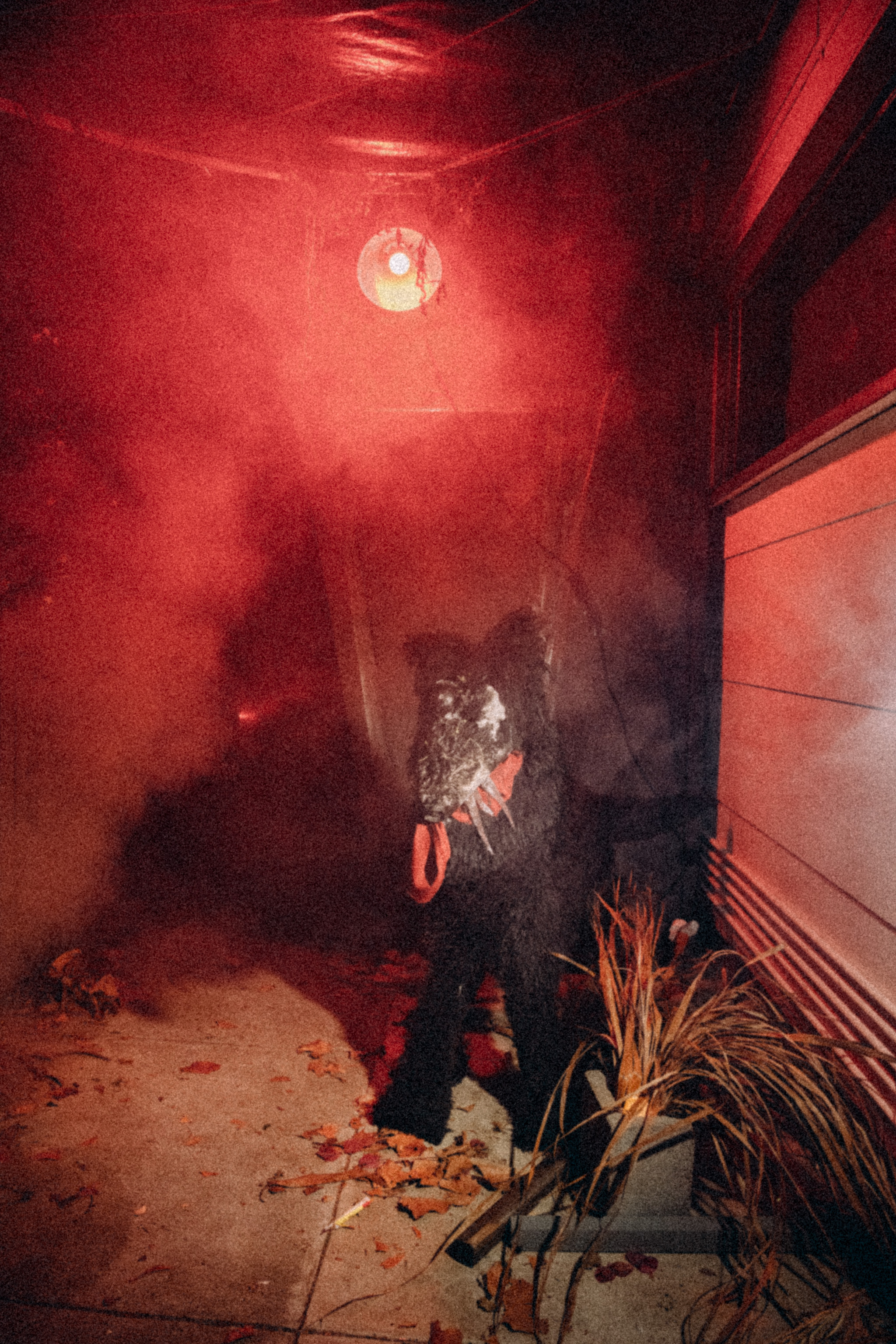 2024 Corridor of Horror