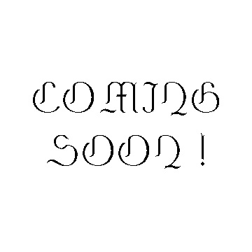 Bat Witch Ghost Merchandise